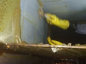 專業(yè)清洗油煙管道，天津保潔服務(wù)助力潔凈生活