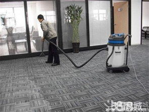 專業(yè)保潔服務(wù)全解析 打造潔凈健康生活空間